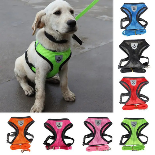 Dog harness puppy pet - dog,