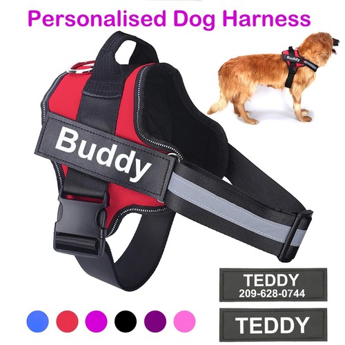 Pull dog harness - harness, adjustable