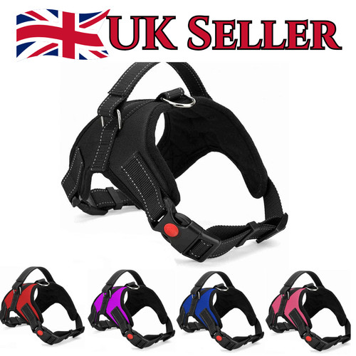 Dog harness pull for small - harness,