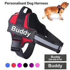 Personalized Dog Harness NO
