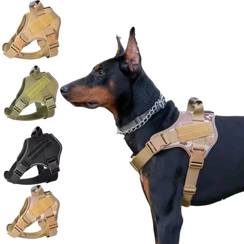 Military tactical dog - military,