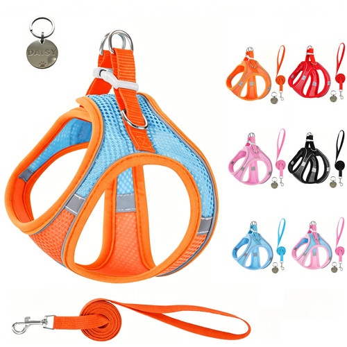 Everyday dog harness - everyday,