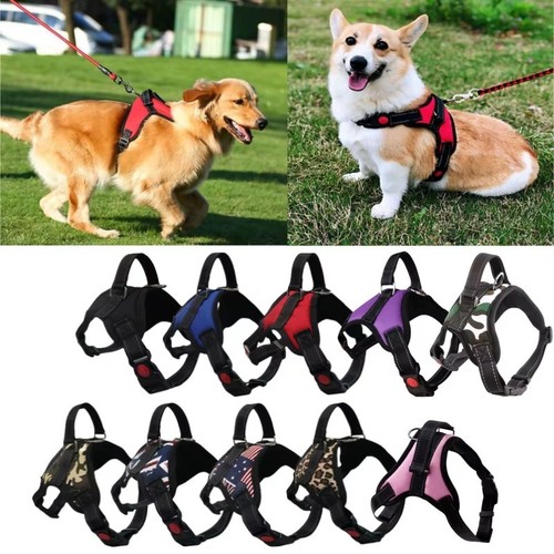 Dog harness pull for - for, small