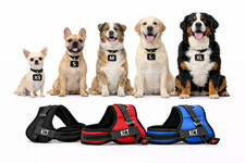 KCT NO PULL PADDED DOG HARNESS