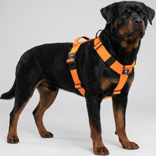 No Pull Dog Harness Large
