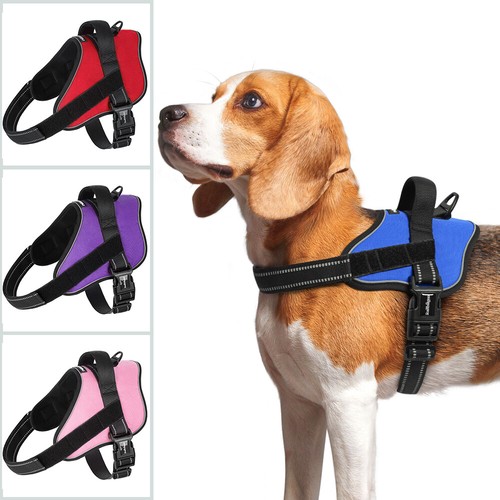 Rabbitgoo pull dog harness - dog,