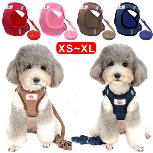 Small dog harness leash - leash, set