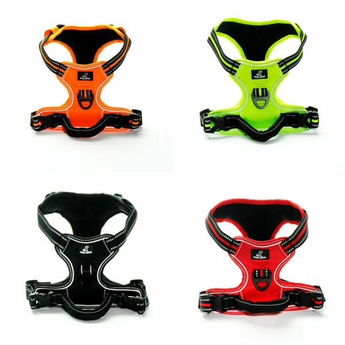 Premium dog harness pull - premium,