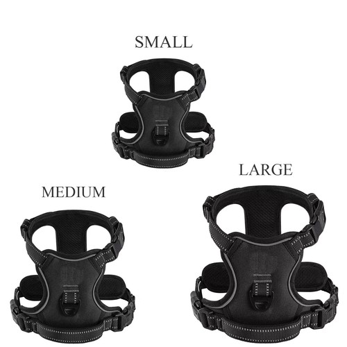 Pull pet dog - pet, with