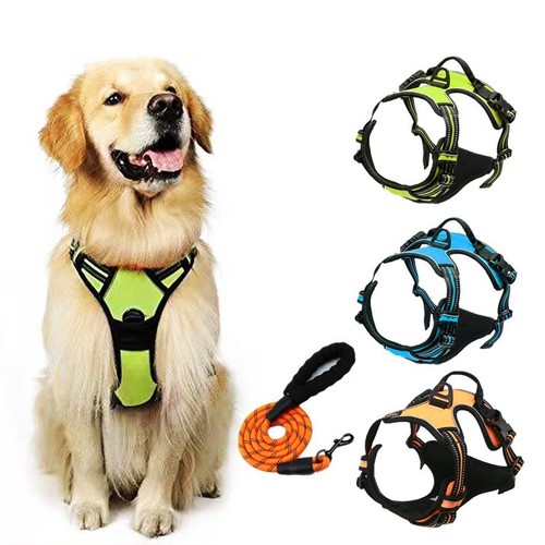Dog harness pull - dog, for