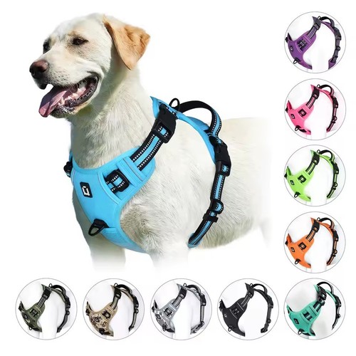Pull dog harness - pull, adjustable