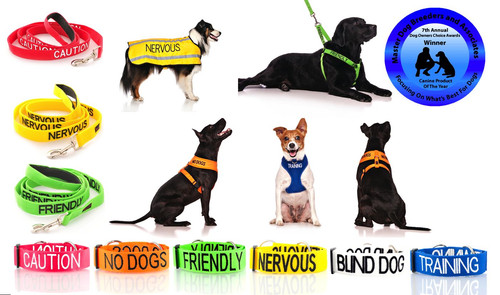 Warning alert dog - dog, collar