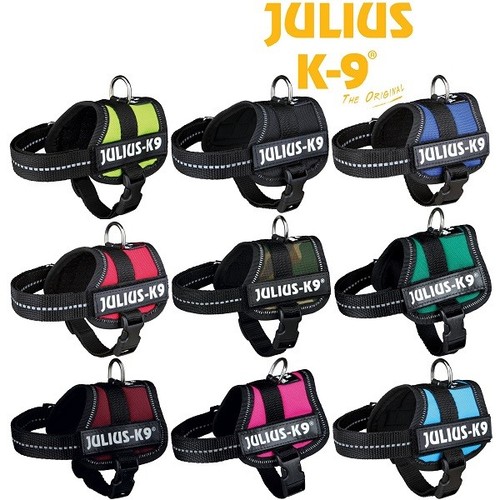 Julius strong adjustable - julius, k9®