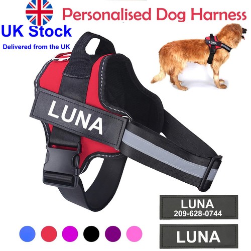 Personalized dog harness - dog,