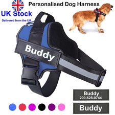 Personalized Dog Harness NO