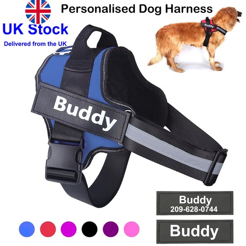 Personalized dog harness - personalized, no