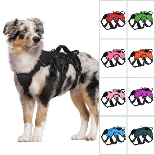 Rabbitgoo escape proof - escape, dog
