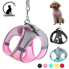 Dog Harness and Leash Set