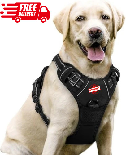 Adjustable nylon dog - dog, harness