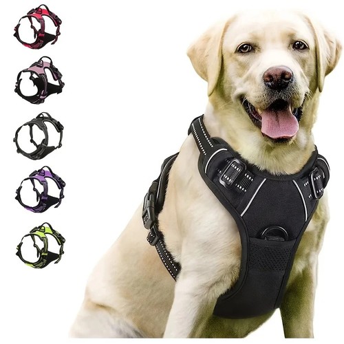 Pull dog harness front - no,
