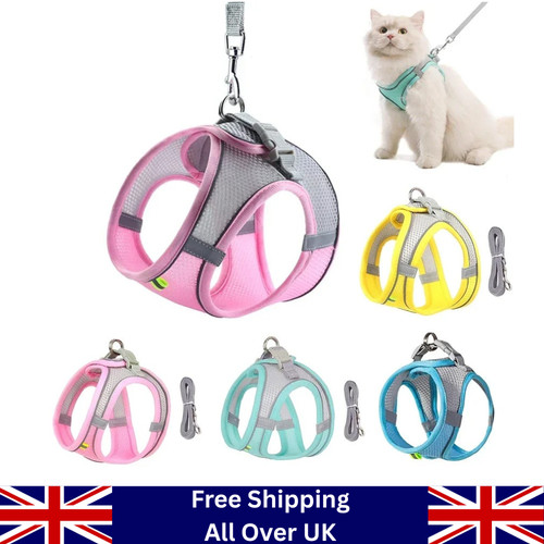 Dog harness and leash - harness,