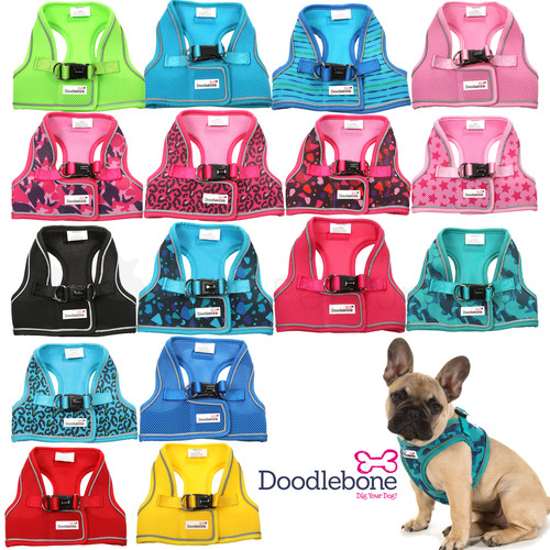 Doodlebone snappy dog - doodlebone,