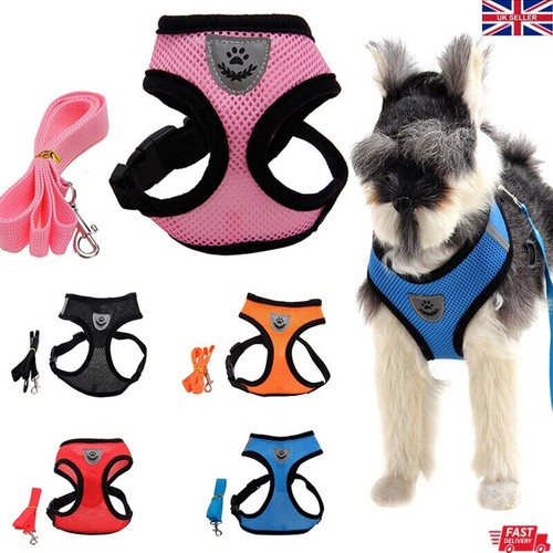 Dog harness pull - dog, no