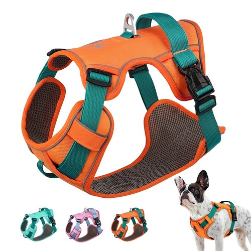 Escape proof dog harness - dog,