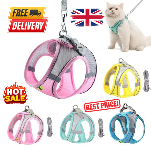 Dog harness and - and, set