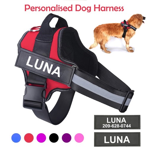 Personalized dog harness - harness, no