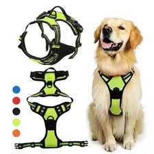 rabbitgoo Dog Harness with 2