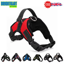 Dog Harness No Pull For Small