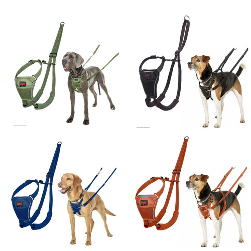 Halti pull dog harness - halti, no