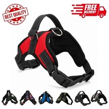 Dog Harness No Pull For Small