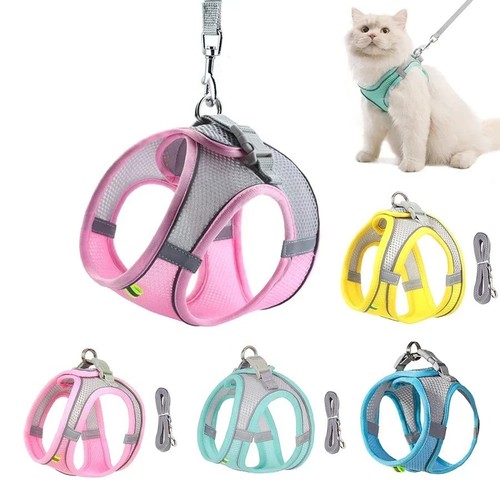 Dog harness and - harness,