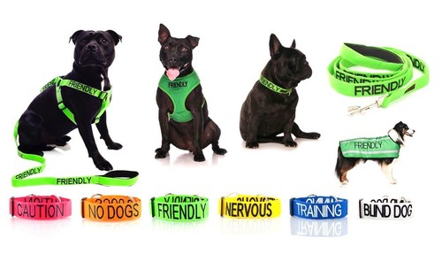 Warning dog colour - warning, coded