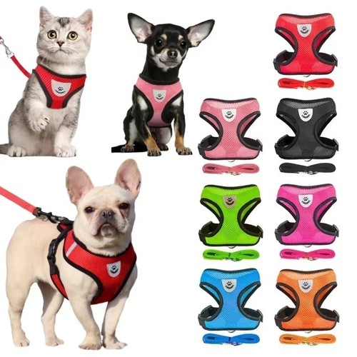 Cat dog harness with lead - with,