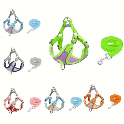Dog harness and leash set - dog,