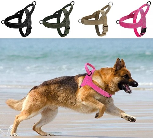 Tactical pull dog - pull, harness